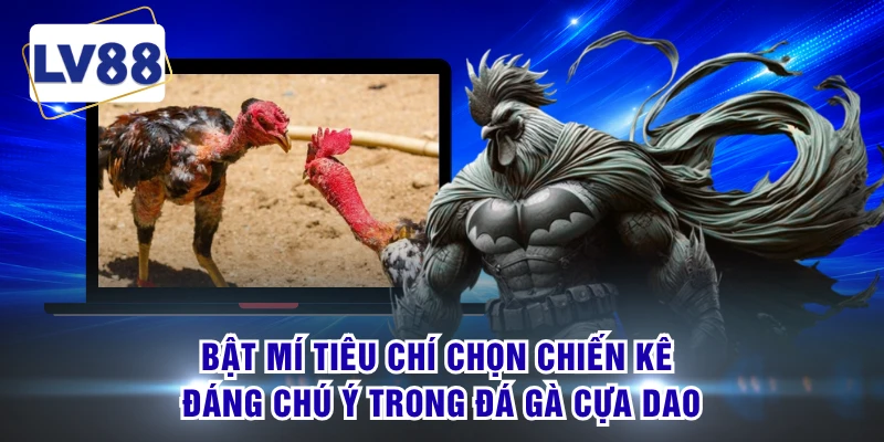 Bật mí tiêu chí chọn chiến kê đáng chú ý trong đá gà cựa dao 