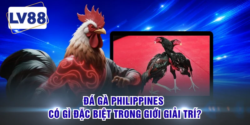 Đá gà Philippines có gì đặc biệt trong giới giải trí?