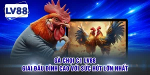 Gà Chọi C1 LV88 - Giải Đấu Đỉnh Cao Với Sức Hút Lớn Nhất