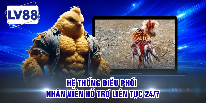 Hệ thống điều phối nhân viên hỗ trợ liên tục 24/7