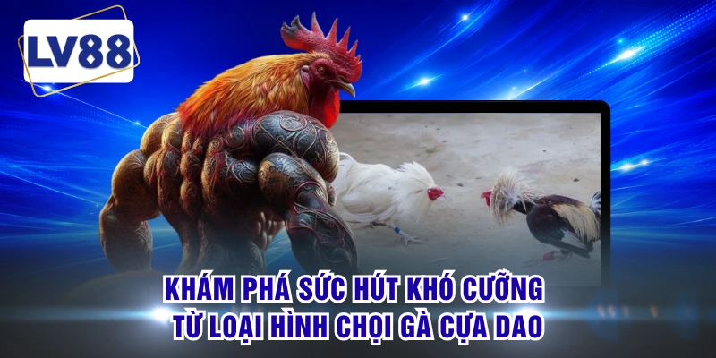 Khám phá sức hút khó cưỡng từ loại hình chọi gà cựa dao 