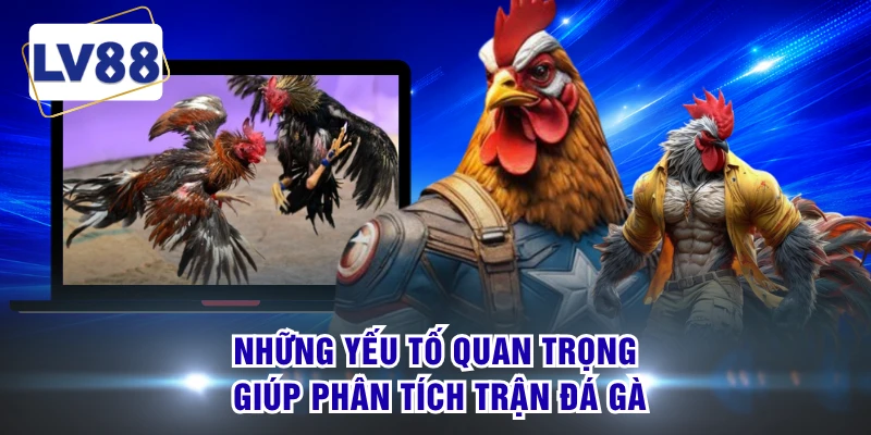 Những yếu tố quan trọng giúp phân tích trận đá gà